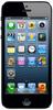 Смартфон Apple iPhone 5 16Gb Black & Slate - Иркутск